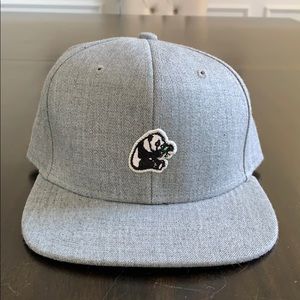 LRG Panda SnapBack Cap